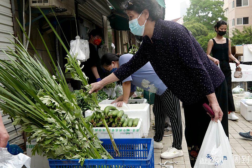 中药材节昌蒲最新价格,中药材节昌蒲最新价格分析