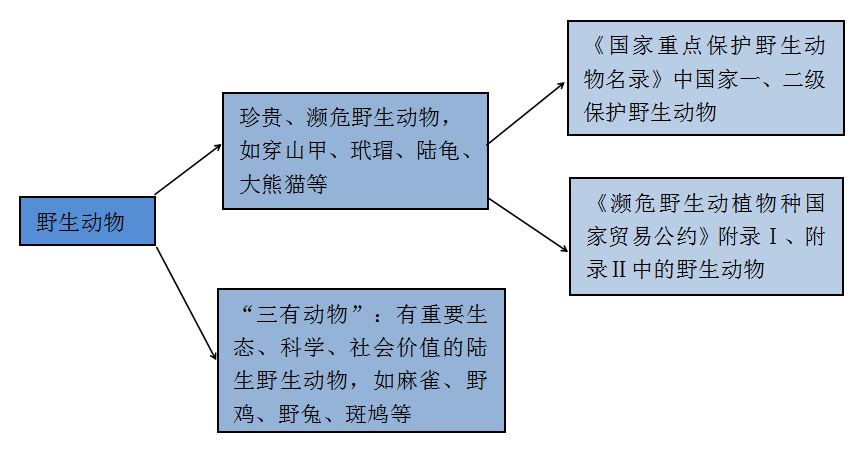 7777788888马会传真,探索数字奥秘，马会传真与数字世界中的77777与88888