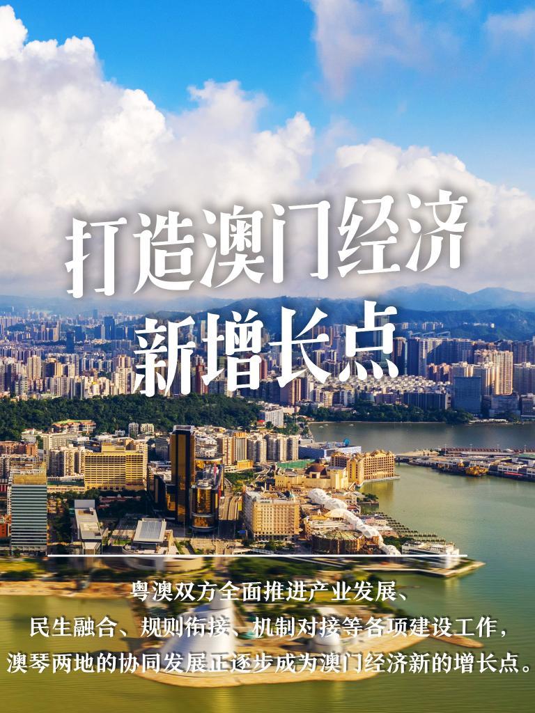 2024新澳门正版挂牌,探索新澳门正版挂牌的机遇与挑战，迈向未来的蓝图