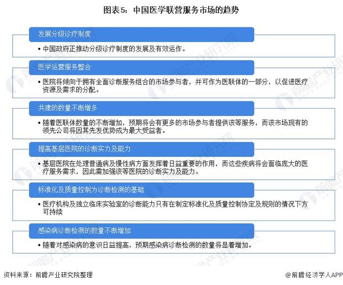 2024最新奥马资料,揭秘2024最新奥马资料，深度解析与前瞻展望