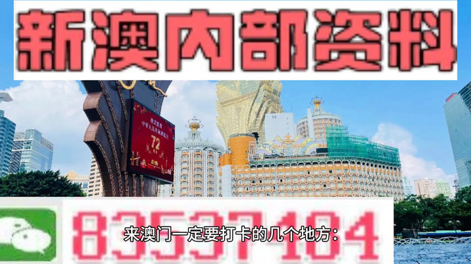 4949澳门免费精准大全,澳门免费精准大全，探索4949的魅力与奥秘