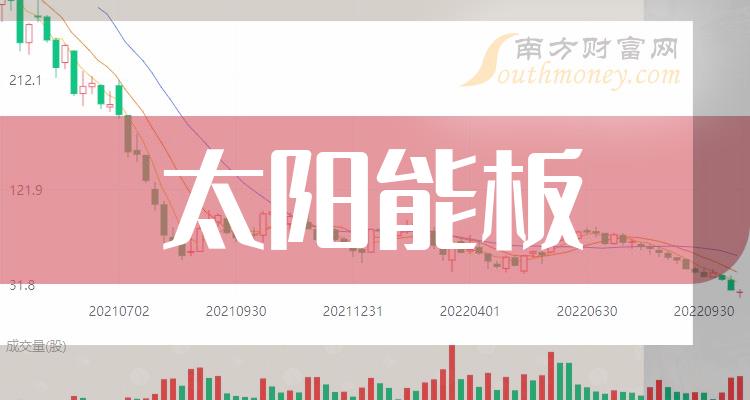 2024正板资料免费公开,迎接未来，2024正板资料免费公开的时代