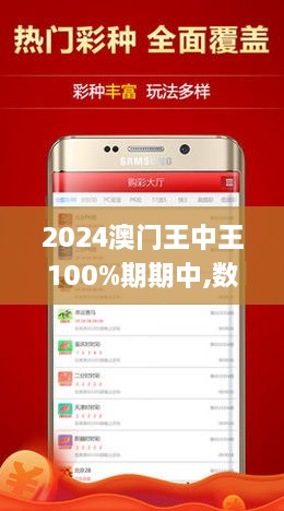 2024年新澳门王中王免费,探索新澳门王中王免费体验的独特魅力与未来展望（2024年）