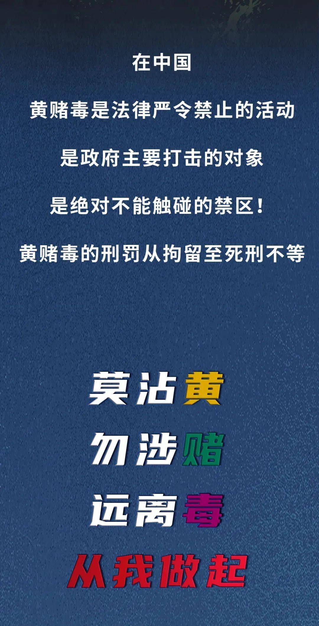 澳门天天开彩大全免费,澳门天天开彩大全免费——揭示犯罪现象的警示文章