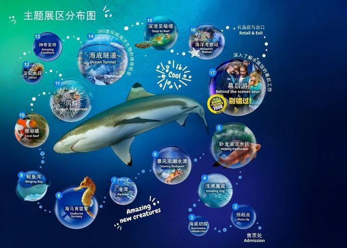 2024年正版资料免费大全视频,迎接未来，探索知识的海洋——2024年正版资料免费大全视频时代来临